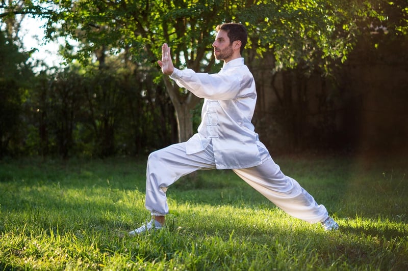 Sun Style Tai Chi demonstration